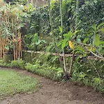 Mumbul Inn,Ubud